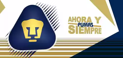 vectores plantilas FUTBOL,